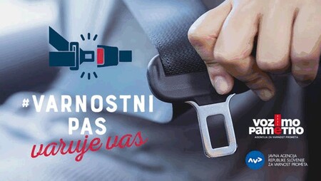 Simbolna slika varnostni pas