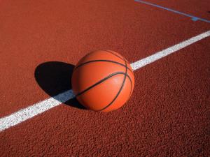 Vzorčna fotografija: Košarkarska žoga