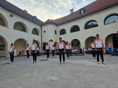 Metliški sokoli in sokolice