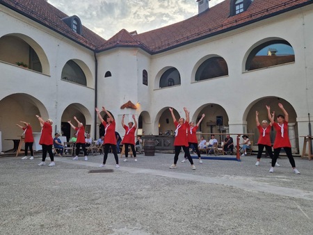Metliški sokoli in sokolice
