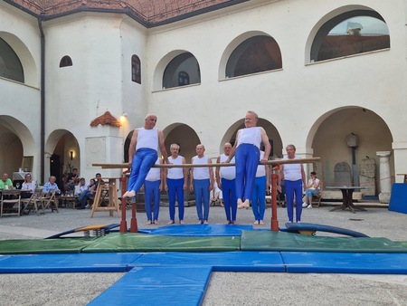 Metliški sokoli in sokolice