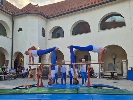 Metliški sokoli in sokolice
